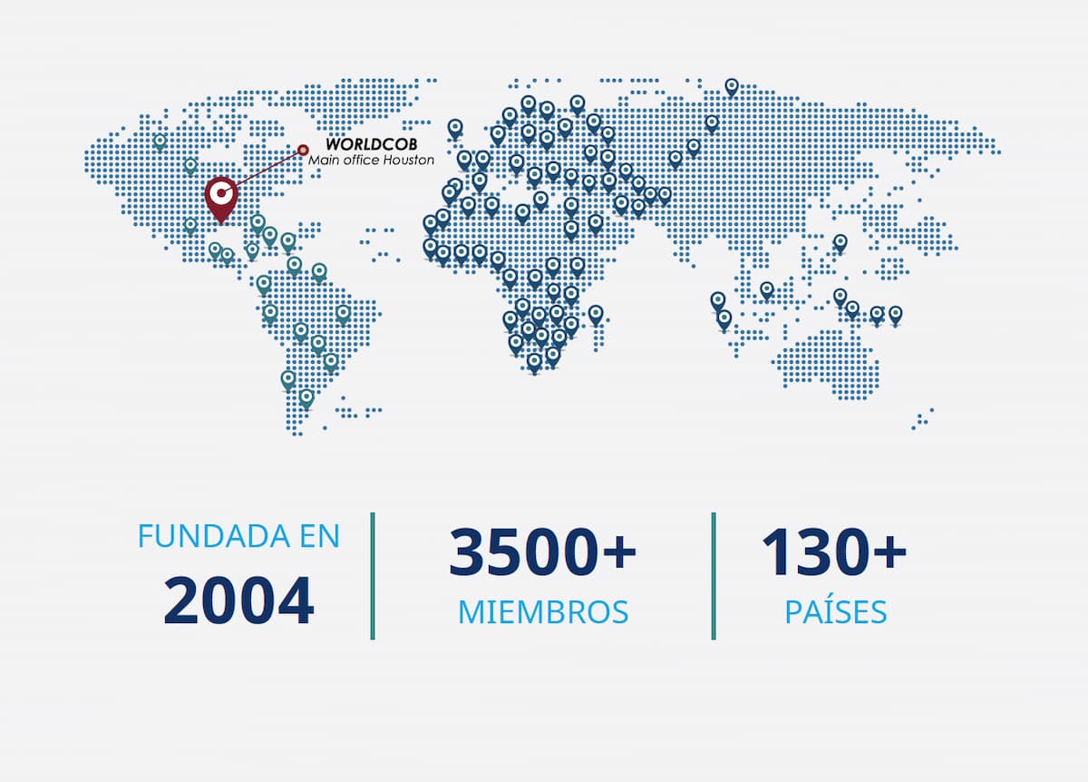 Networking internacional